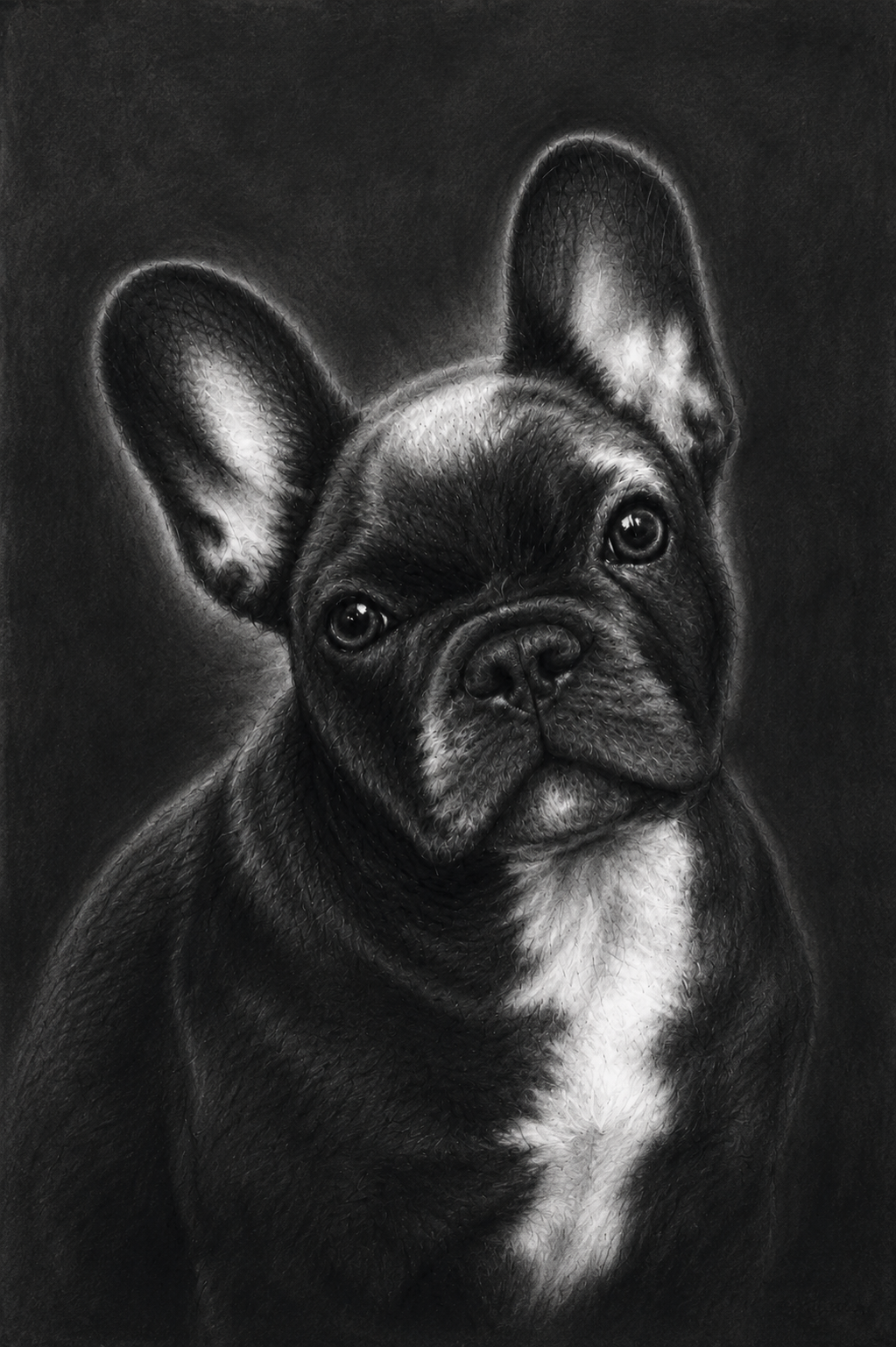 Statement Portrait — A2