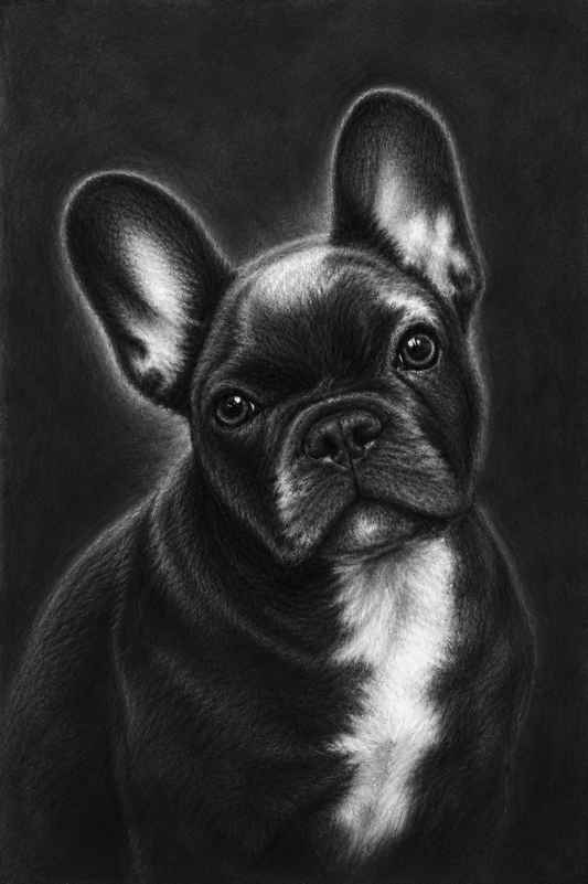 Statement Portrait — A2
